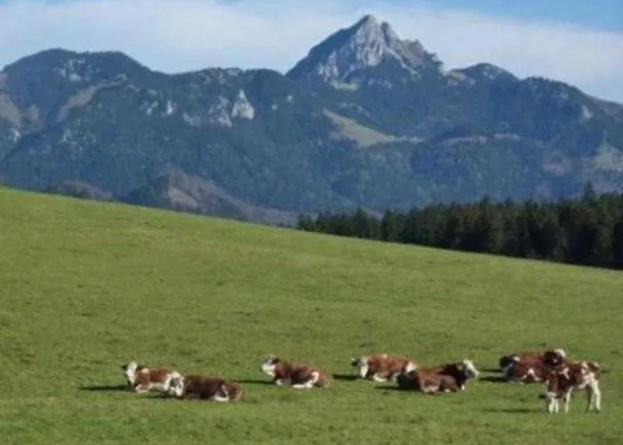 Del Toso Schliersee