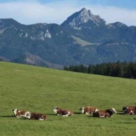Del Toso Schliersee